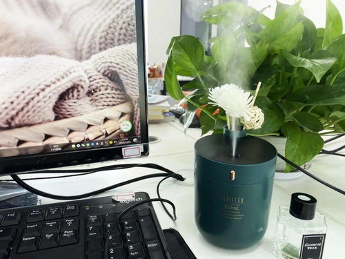 一物两用，超高颜值 兼具香薰机功能的加湿器